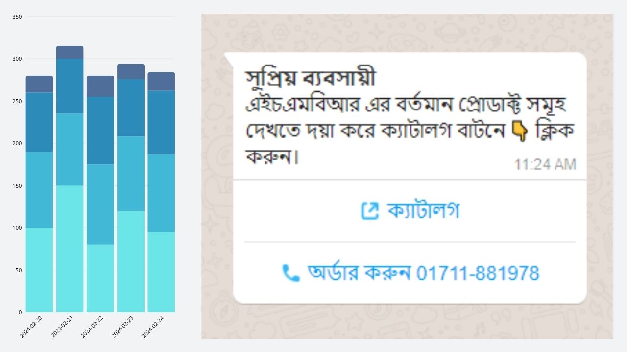 WhatsApp Business Marketing